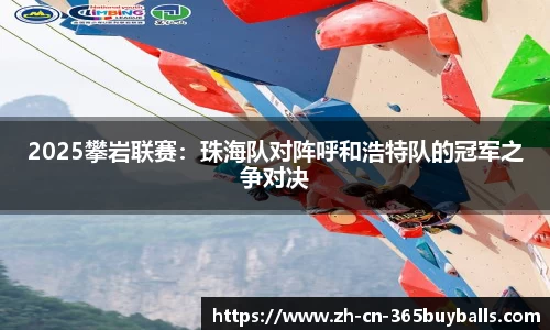 365买球官方网站